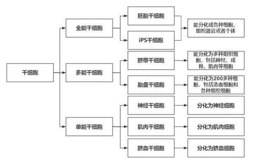 重新構想互聯網產品 系統思維下的計算機集成制造系統模型